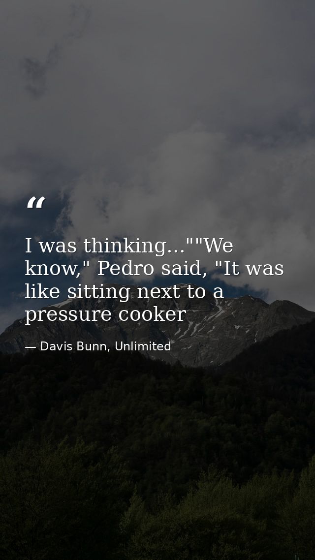 I was thinking...""We know," Pedro said, "It was like sitting next to a pressure cooker — Davis Bunn, Unlimited