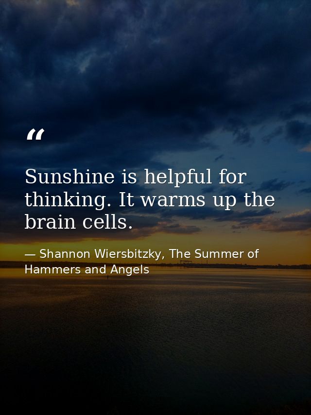 Sunshine is helpful for thinking. It warms up the brain cells. — Shannon Wiersbitzky, The Summer of Hammers and Angels