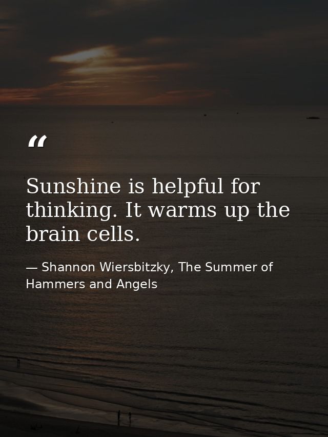Sunshine is helpful for thinking. It warms up the brain cells. — Shannon Wiersbitzky, The Summer of Hammers and Angels