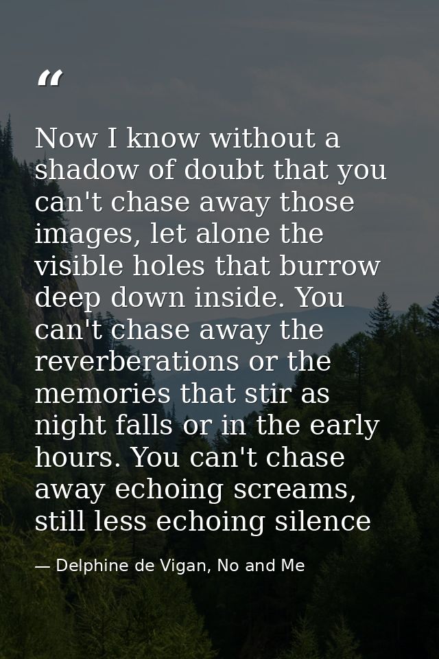 Now I know without a shadow of doubt that you can't chase away those images, let alone the visible holes that burrow dee — Delphine de Vigan, No and Me