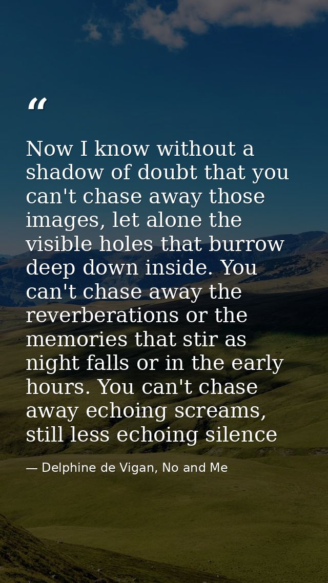 Now I know without a shadow of doubt that you can't chase away those images, let alone the visible holes that burrow dee — Delphine de Vigan, No and Me
