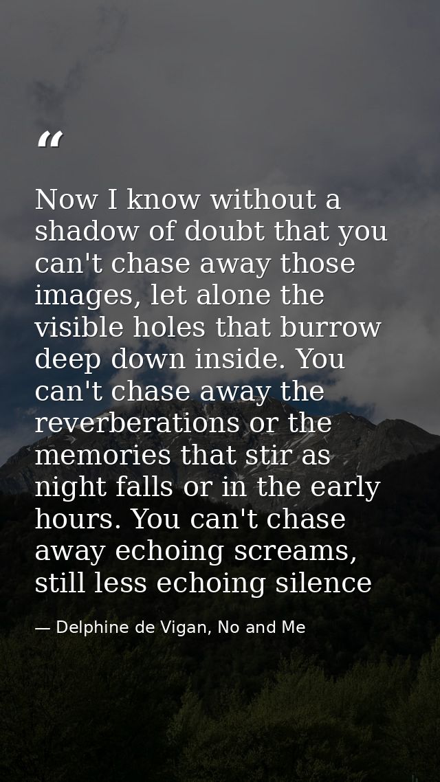 Now I know without a shadow of doubt that you can't chase away those images, let alone the visible holes that burrow dee — Delphine de Vigan, No and Me