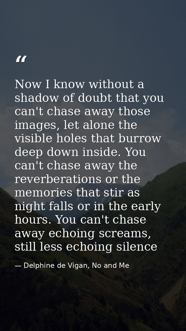 Now I know without a shadow of doubt that you can't chase away those images, let alone the visible holes that burrow dee — Delphine de Vigan, No and Me