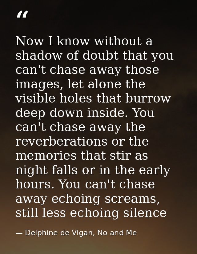 Now I know without a shadow of doubt that you can't chase away those images, let alone the visible holes that burrow dee — Delphine de Vigan, No and Me