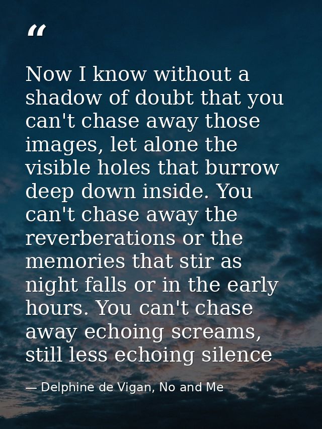 Now I know without a shadow of doubt that you can't chase away those images, let alone the visible holes that burrow dee — Delphine de Vigan, No and Me