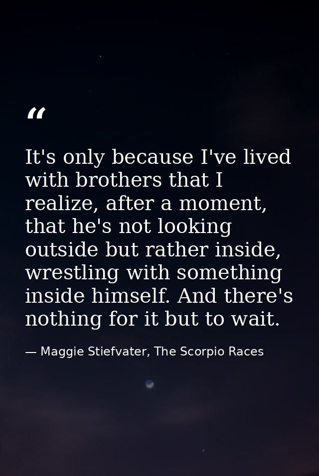 It's only because I've lived with brothers that I realize, after a moment, that he's not looking outside but rather insi — Maggie Stiefvater, The Scorpio Races