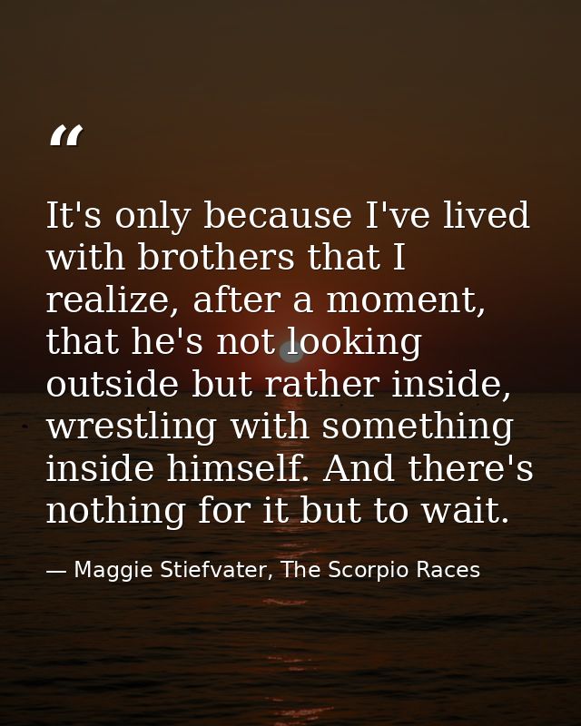 It's only because I've lived with brothers that I realize, after a moment, that he's not looking outside but rather insi — Maggie Stiefvater, The Scorpio Races