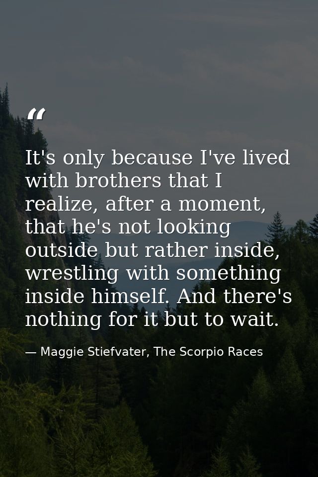 It's only because I've lived with brothers that I realize, after a moment, that he's not looking outside but rather insi — Maggie Stiefvater, The Scorpio Races