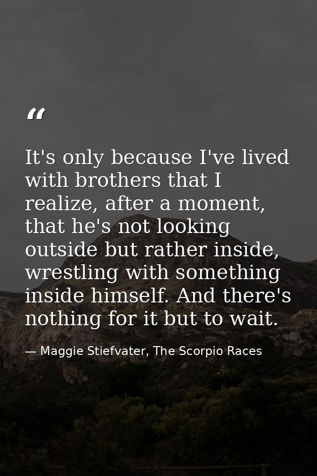It's only because I've lived with brothers that I realize, after a moment, that he's not looking outside but rather insi — Maggie Stiefvater, The Scorpio Races