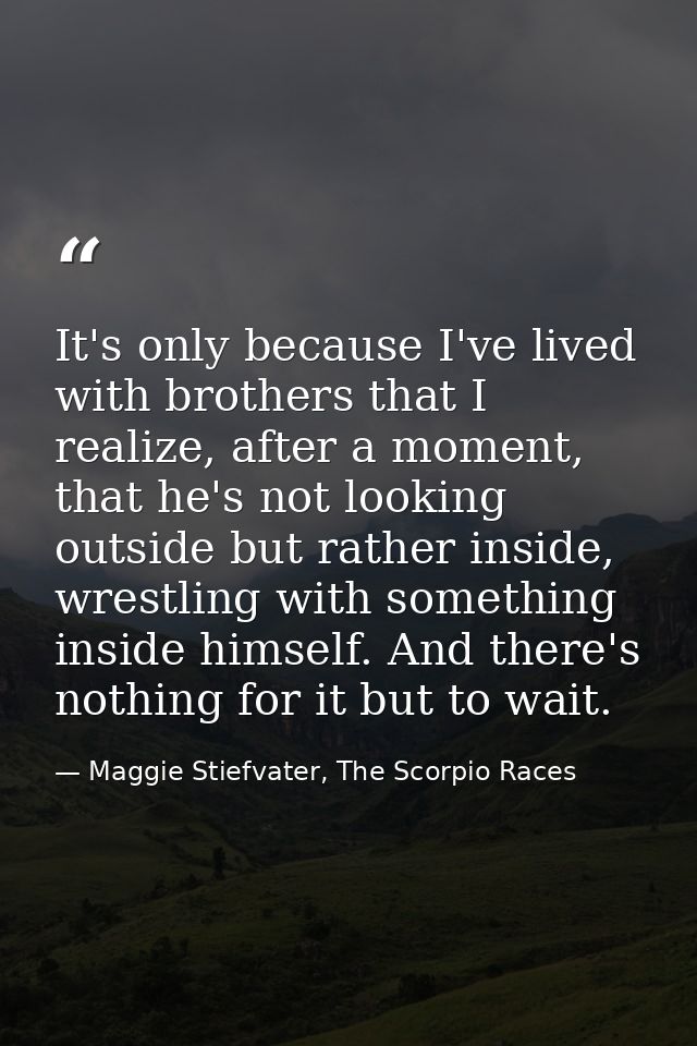 It's only because I've lived with brothers that I realize, after a moment, that he's not looking outside but rather insi — Maggie Stiefvater, The Scorpio Races