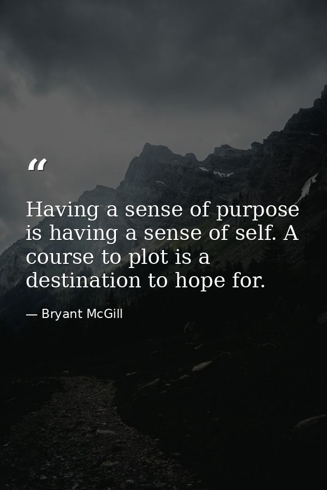 Having a sense of purpose is having a sense of self. A course to plot is a destination to hope for. — Bryant McGill