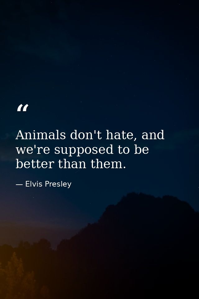 Animals don't hate, and we're supposed to be better than them. — Elvis Presley