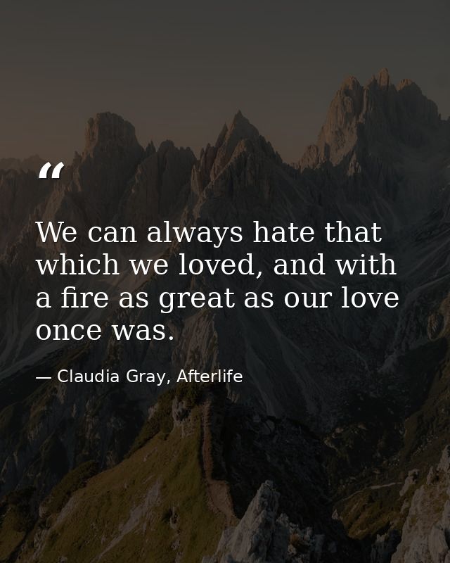 We can always hate that which we loved, and with a fire as great as our love once was. — Claudia Gray, Afterlife