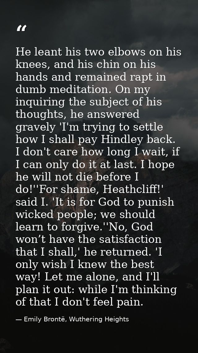 He leant his two elbows on his knees, and his chin on his hands and remained rapt in dumb meditation. On my inquiring th — Emily Brontë, Wuthering Heights