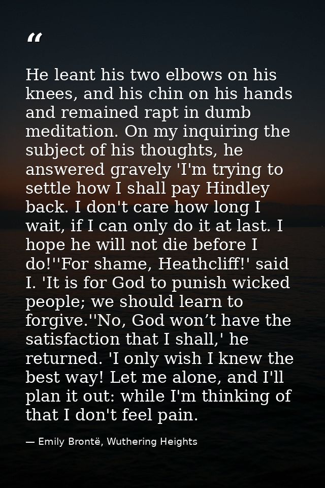He leant his two elbows on his knees, and his chin on his hands and remained rapt in dumb meditation. On my inquiring th — Emily Brontë, Wuthering Heights