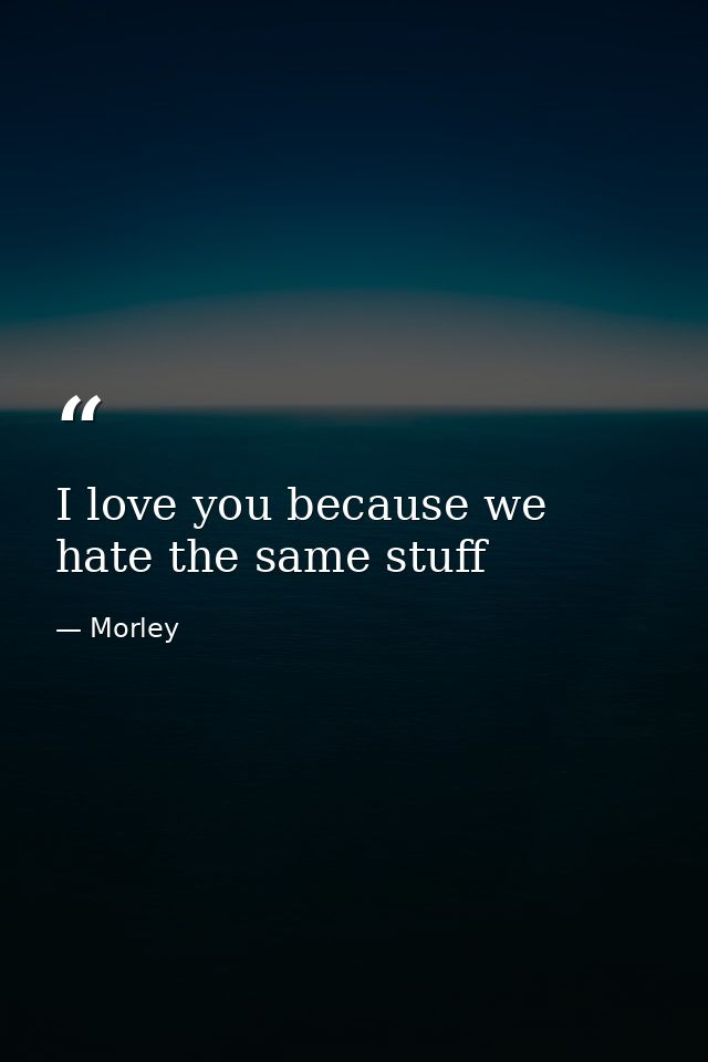I love you because we hate the same stuff — Morley