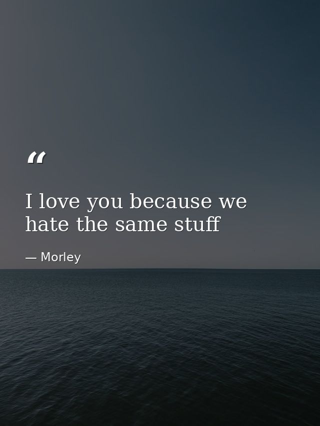 I love you because we hate the same stuff — Morley