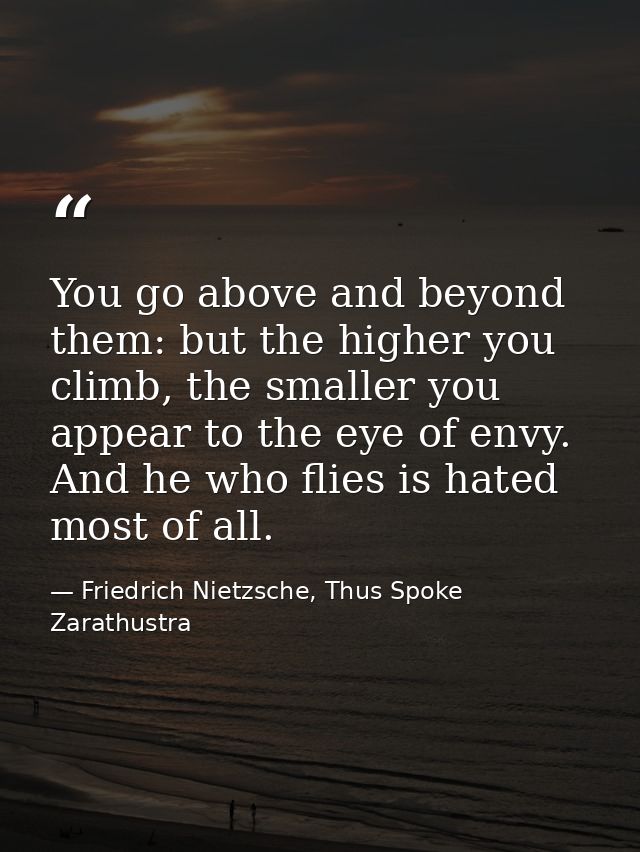 You go above and beyond them: but the higher you climb, the smaller you appear to the eye of envy. And he who flies is h — Friedrich Nietzsche, Thus Spoke Zarathustra