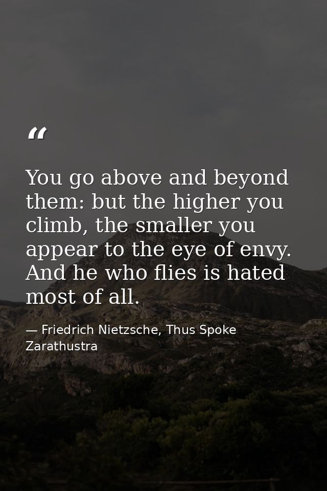 You go above and beyond them: but the higher you climb, the smaller you appear to the eye of envy. And he who flies is h — Friedrich Nietzsche, Thus Spoke Zarathustra