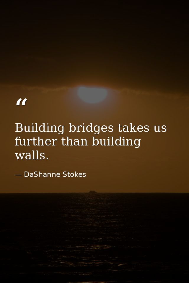 Building bridges takes us further than building walls. — DaShanne Stokes