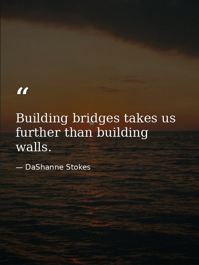 Building bridges takes us further than building walls. — DaShanne Stokes