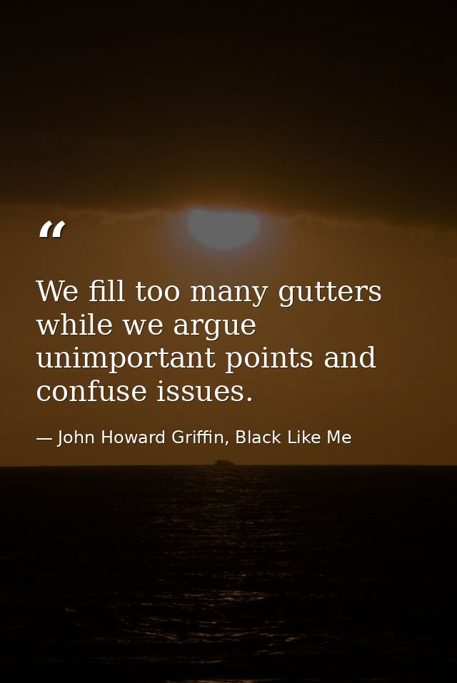 We fill too many gutters while we argue unimportant points and confuse issues. — John Howard Griffin, Black Like Me