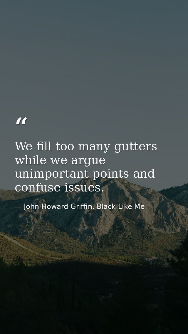 We fill too many gutters while we argue unimportant points and confuse issues. — John Howard Griffin, Black Like Me