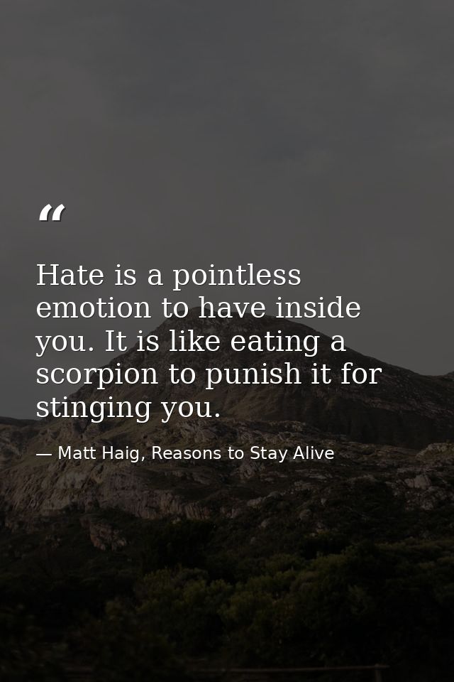 Hate is a pointless emotion to have inside you. It is like eating a scorpion to punish it for stinging you. — Matt Haig, Reasons to Stay Alive