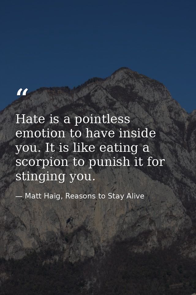 Hate is a pointless emotion to have inside you. It is like eating a scorpion to punish it for stinging you. — Matt Haig, Reasons to Stay Alive