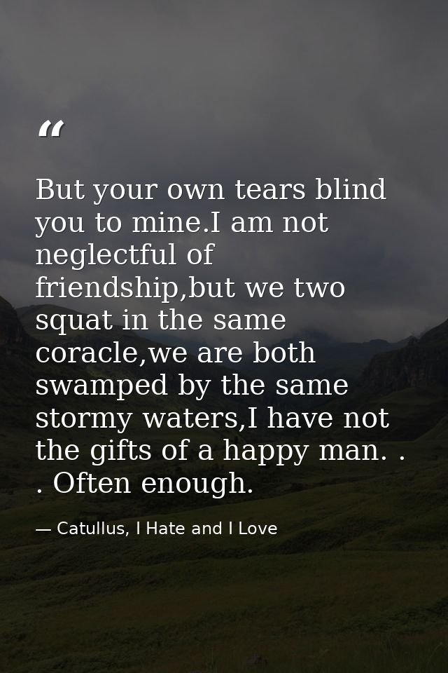But your own tears blind you to mine.I am not neglectful of friendship,but we two squat in the same coracle,we are both  — Catullus, I Hate and I Love