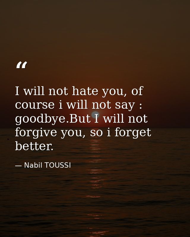 I will not hate you, of course i will not say : goodbye.But I will not forgive you, so i forget better. — Nabil TOUSSI