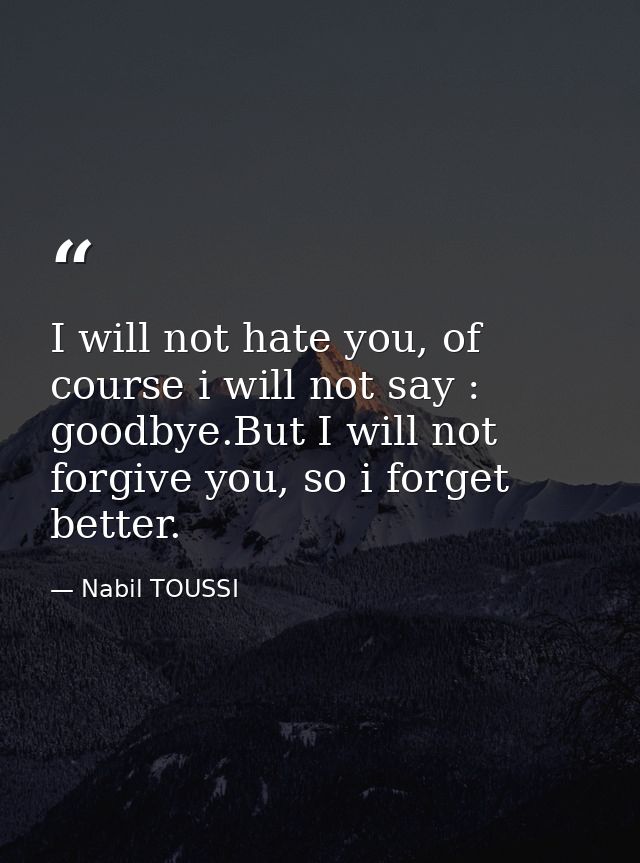 I will not hate you, of course i will not say : goodbye.But I will not forgive you, so i forget better. — Nabil TOUSSI