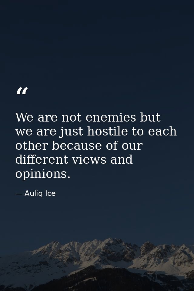 We are not enemies but we are just hostile to each other because of our different views and opinions. — Auliq Ice