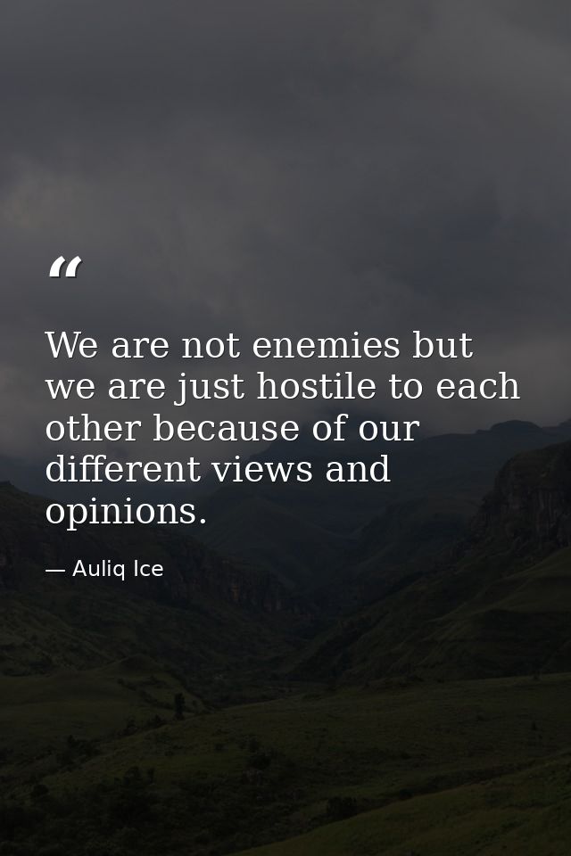 We are not enemies but we are just hostile to each other because of our different views and opinions. — Auliq Ice