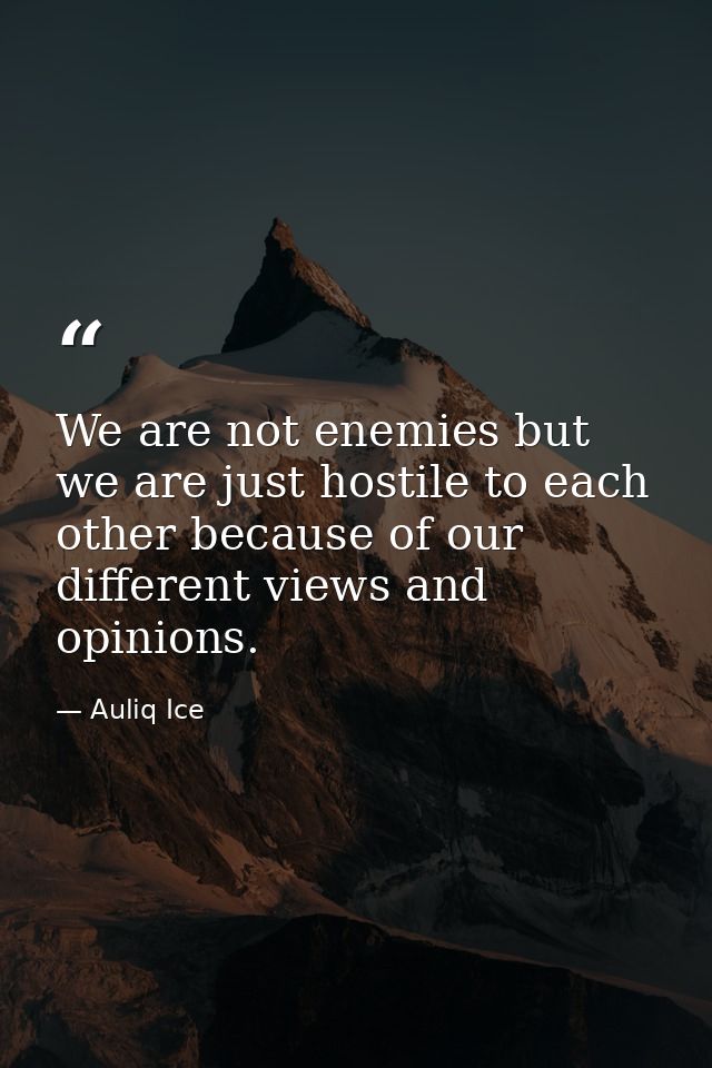 We are not enemies but we are just hostile to each other because of our different views and opinions. — Auliq Ice