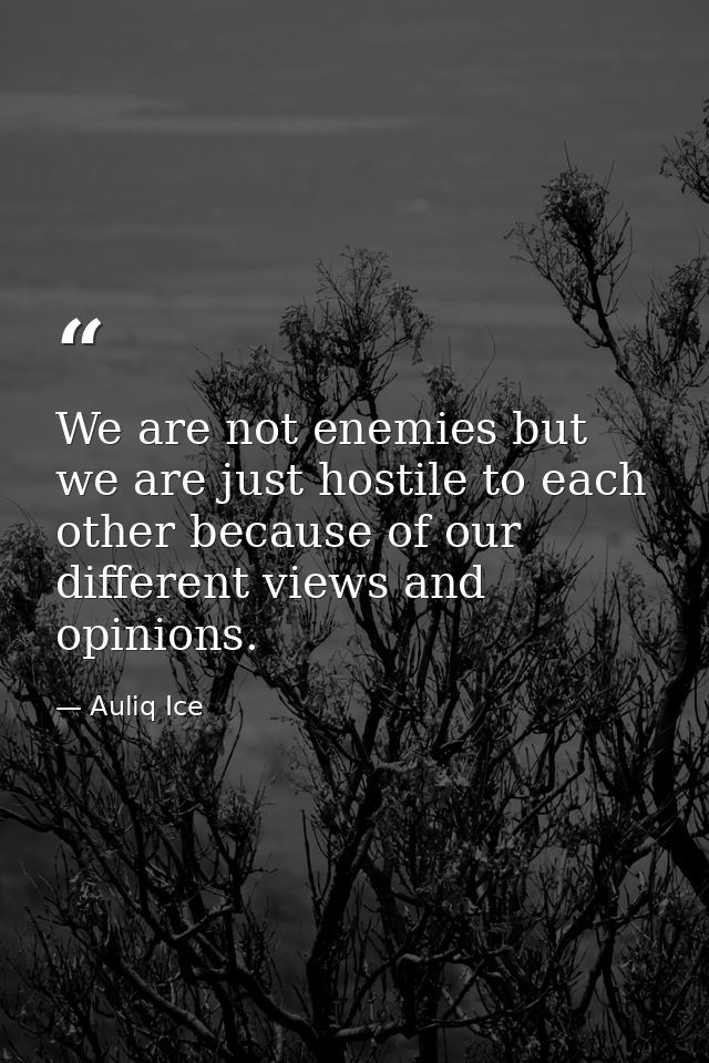 We are not enemies but we are just hostile to each other because of our different views and opinions. — Auliq Ice
