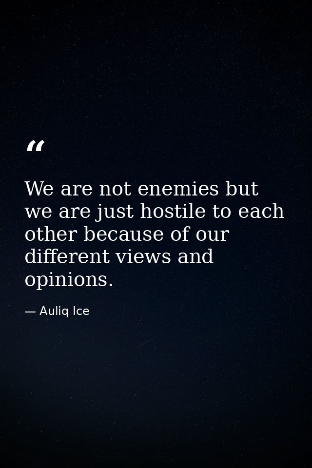 We are not enemies but we are just hostile to each other because of our different views and opinions. — Auliq Ice