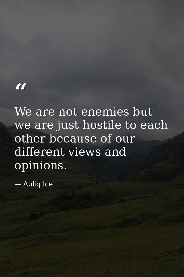 We are not enemies but we are just hostile to each other because of our different views and opinions. — Auliq Ice