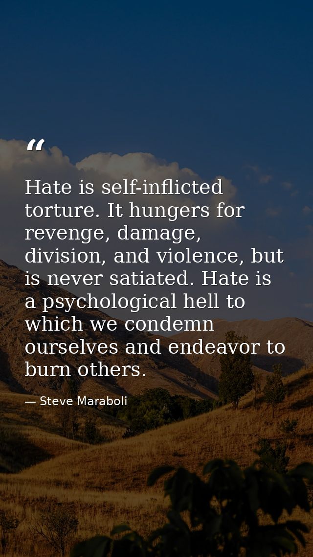 Hate is self-inflicted torture. It hungers for revenge, damage, division, and violence, but is never satiated. Hate is a — Steve Maraboli