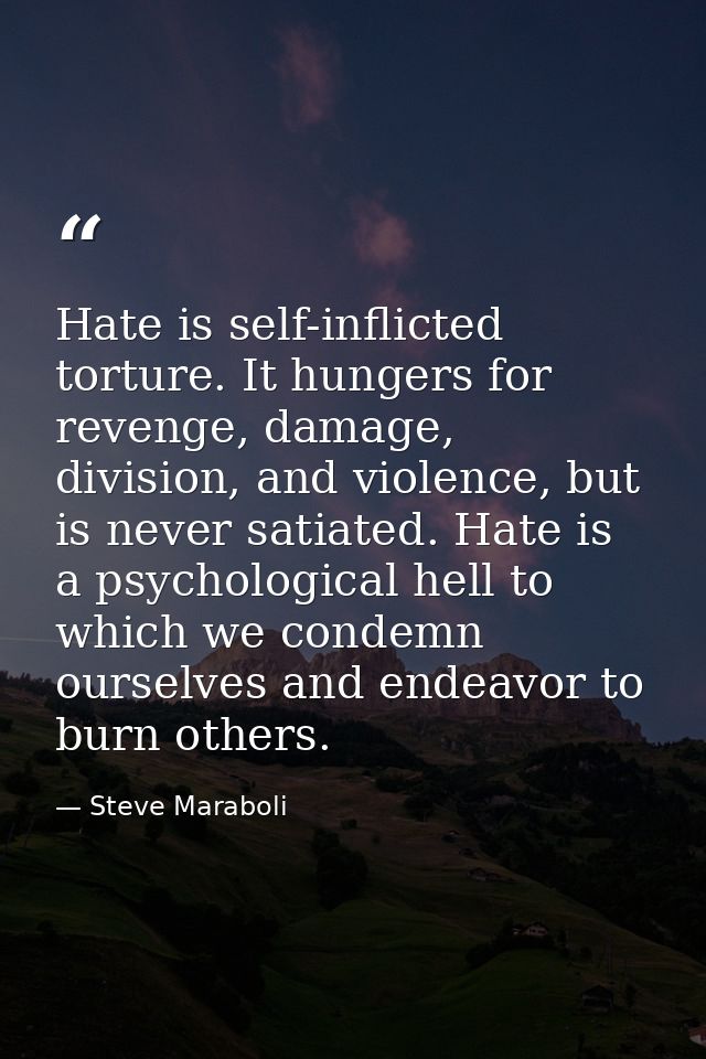 Hate is self-inflicted torture. It hungers for revenge, damage, division, and violence, but is never satiated. Hate is a — Steve Maraboli