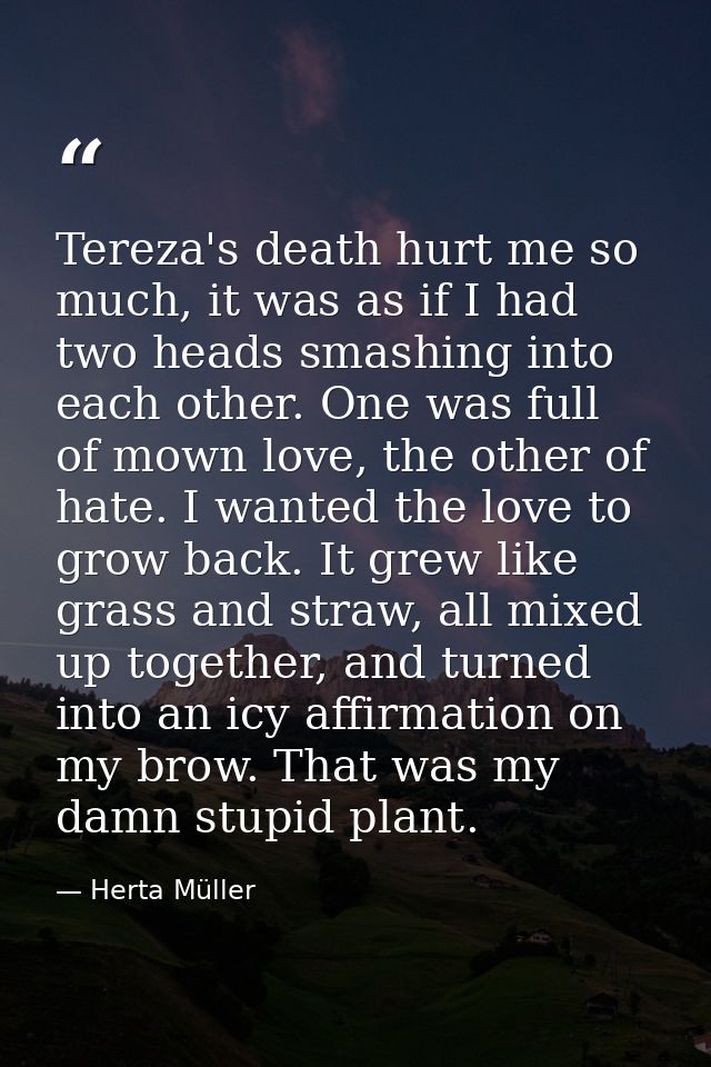 Tereza's death hurt me so much, it was as if I had two heads smashing into each other. One was full of mown love, the ot — Herta Müller