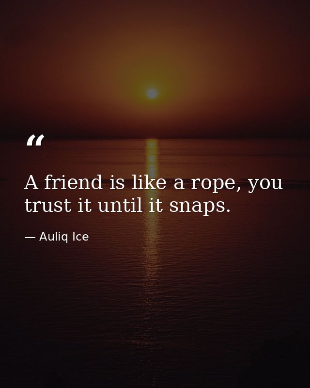 A friend is like a rope, you trust it until it snaps. — Auliq Ice