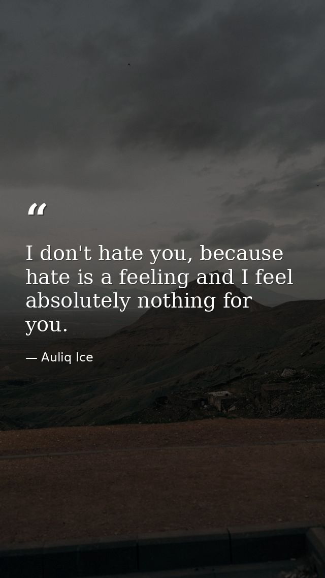 I don't hate you, because hate is a feeling and I feel absolutely nothing for you. — Auliq Ice
