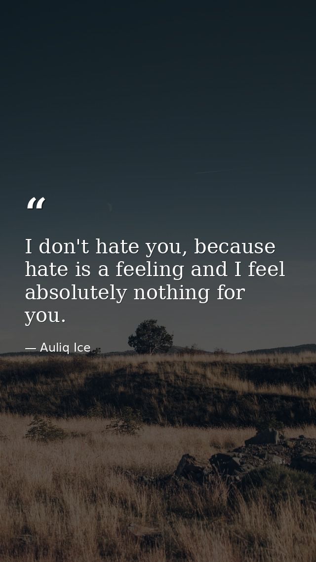 I don't hate you, because hate is a feeling and I feel absolutely nothing for you. — Auliq Ice