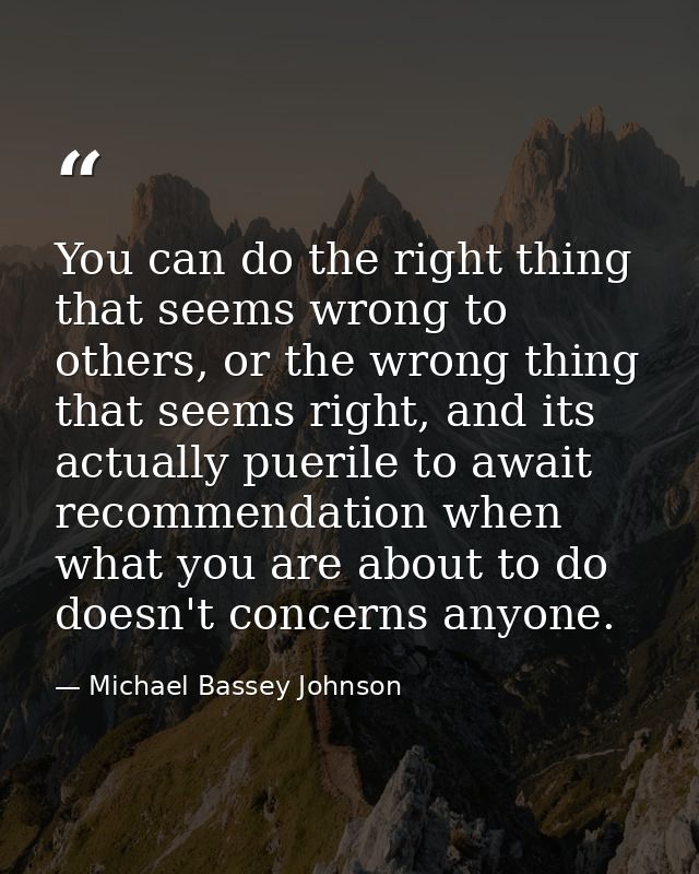 You can do the right thing that seems wrong to others, or the wrong thing that seems right, and its actually puerile to  — Michael Bassey Johnson