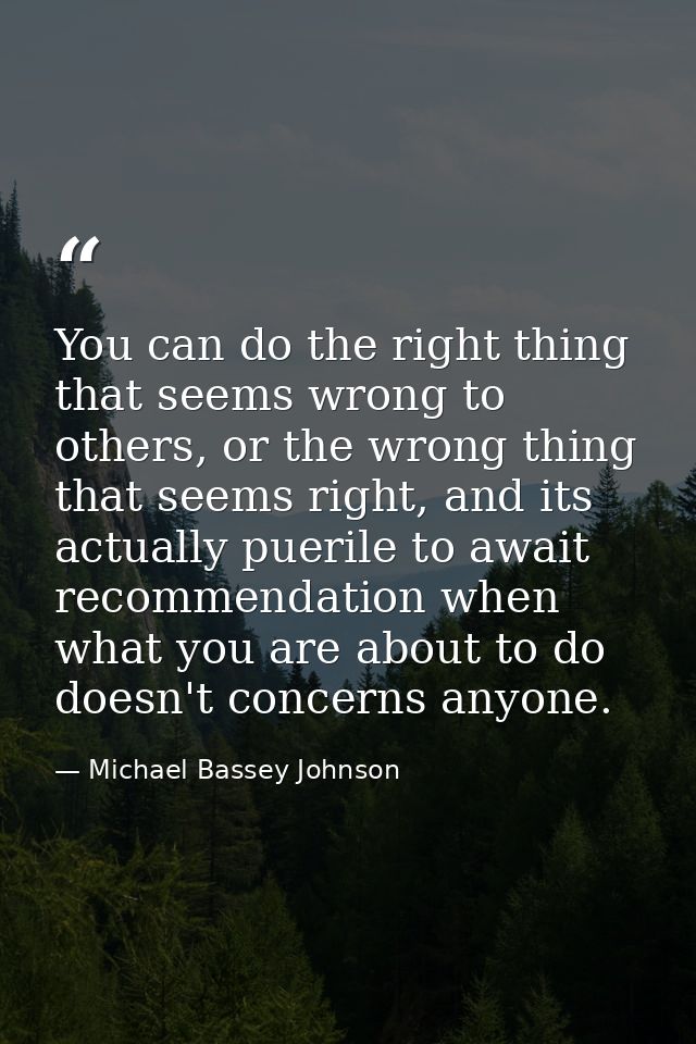 You can do the right thing that seems wrong to others, or the wrong thing that seems right, and its actually puerile to  — Michael Bassey Johnson