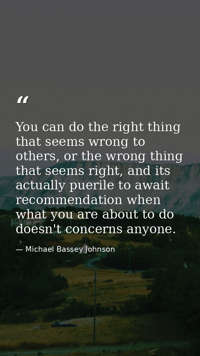 You can do the right thing that seems wrong to others, or the wrong thing that seems right, and its actually puerile to  — Michael Bassey Johnson