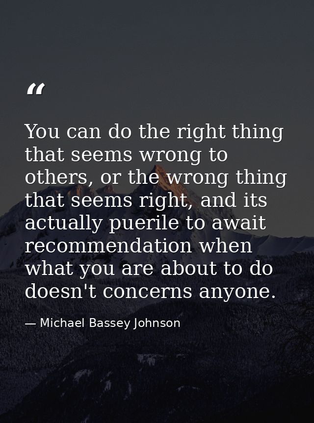 You can do the right thing that seems wrong to others, or the wrong thing that seems right, and its actually puerile to  — Michael Bassey Johnson
