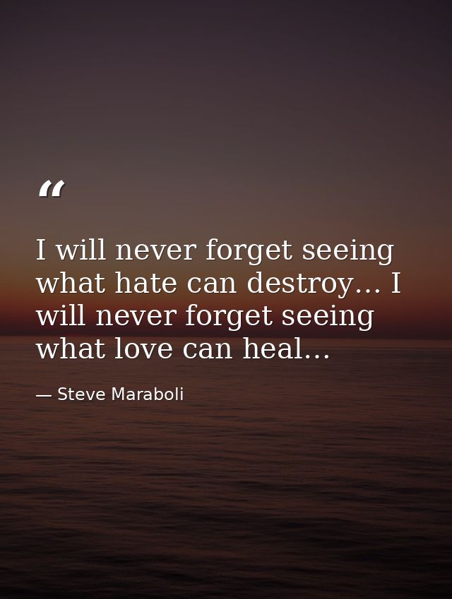 I will never forget seeing what hate can destroy… I will never forget seeing what love can heal… — Steve Maraboli