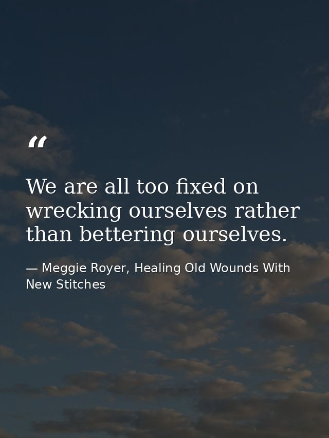 We are all too fixed on wrecking ourselves rather than bettering ourselves. — Meggie Royer, Healing Old Wounds With New Stitches